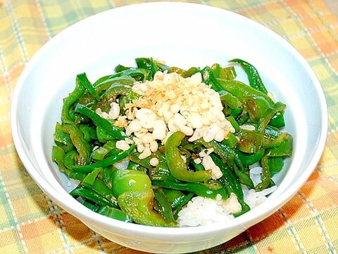 肉なしでも美味しい！オール緑のピーマンの仲間たち丼